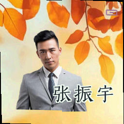 张振宇